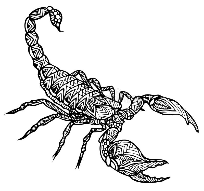 Scorpion Zentangle Stylized, Vector, Illustration, Freehand Pencil ...