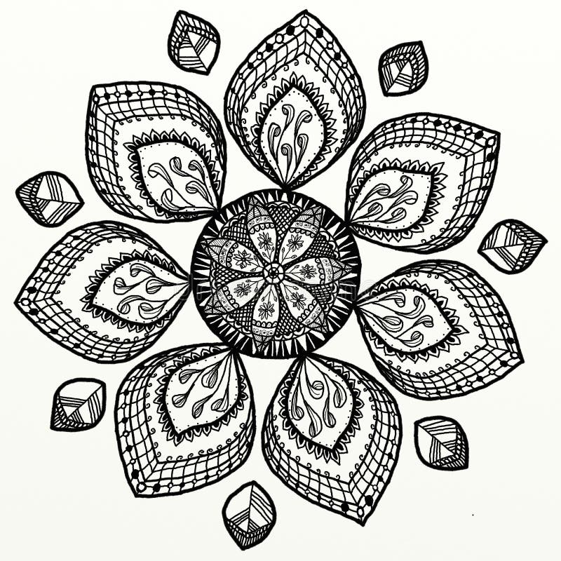 Zentangle flower stock image. Illustration of hand, flower 57919037