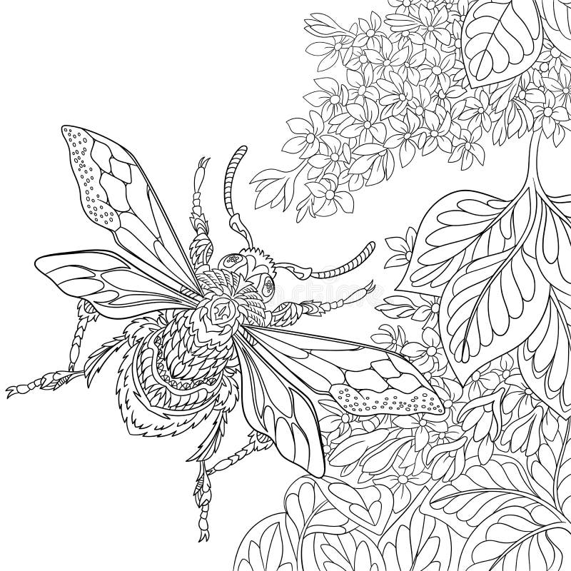 Zentangle stylized cartoon beetle insect flying around sakura flowers. Sketch for adult antistress coloring page. Hand drawn doodle, zentangle, floral design elements for coloring book. Zentangle stylized cartoon beetle insect flying around sakura flowers. Sketch for adult antistress coloring page. Hand drawn doodle, zentangle, floral design elements for coloring book.