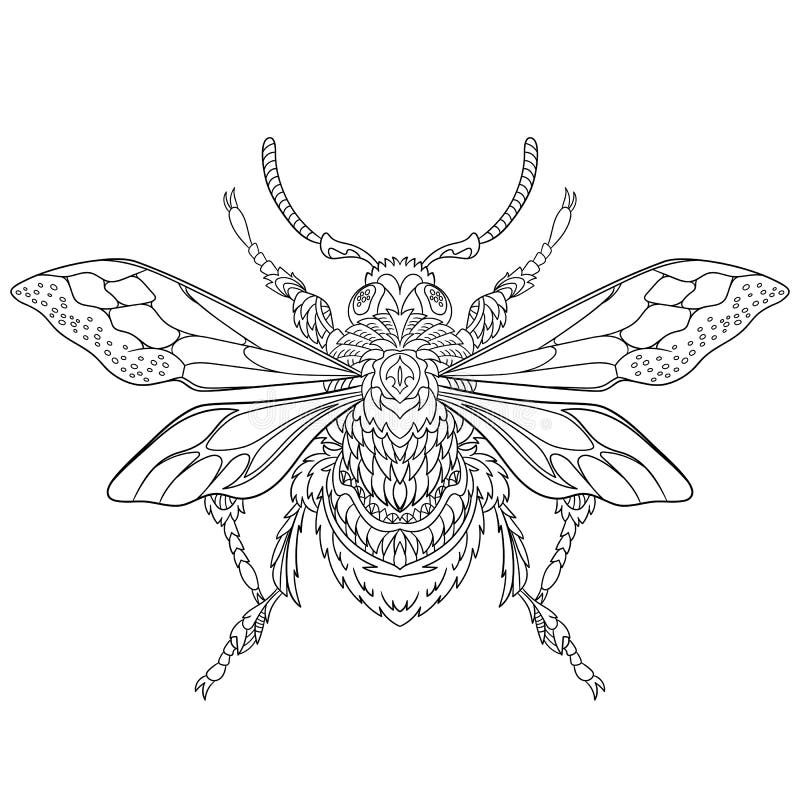 Zentangle stylized cartoon beetle insect, on white background. Sketch for adult antistress coloring page. Hand drawn doodle, zentangle, floral design elements for coloring book. Zentangle stylized cartoon beetle insect, on white background. Sketch for adult antistress coloring page. Hand drawn doodle, zentangle, floral design elements for coloring book.