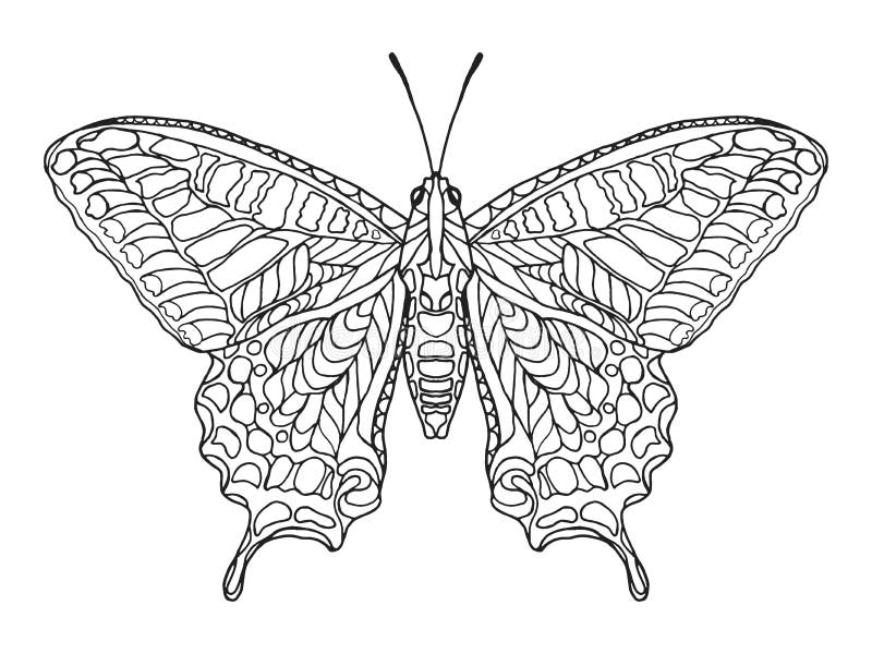Zentangle gestileerde vlinder stock illustratie Zentangle gestileerde vlinder stock illustratie