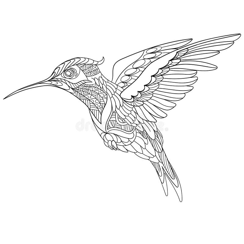 Zentangle ha stilizzato il colibrì illustrazione di stock Zentangle ha stilizzato il colibrì illustrazione di stock