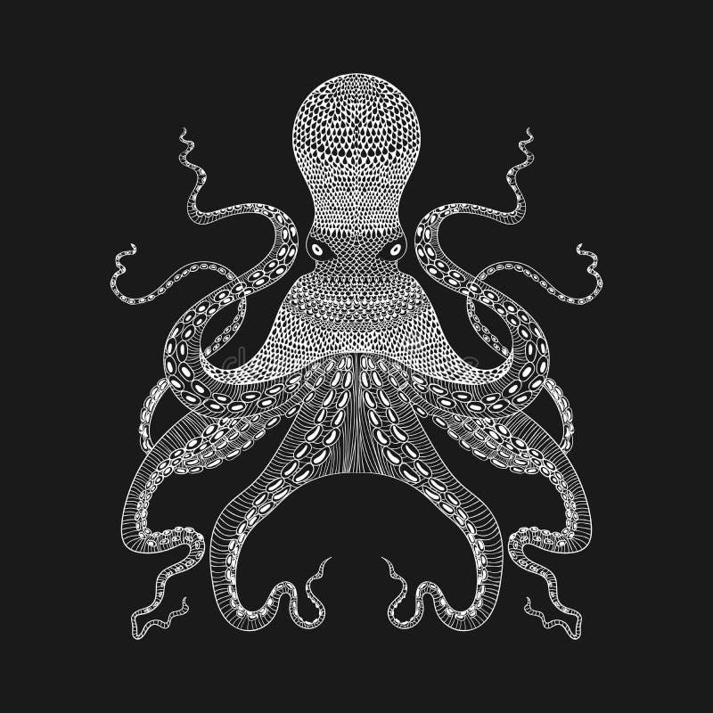 Zentangle ha stilizzato il polipo bianco Illustr disegnato a mano del pizzo illustrazione di stock Zentangle ha stilizzato il polipo bianco Illustr disegnato a mano del pizzo illustrazione di stock