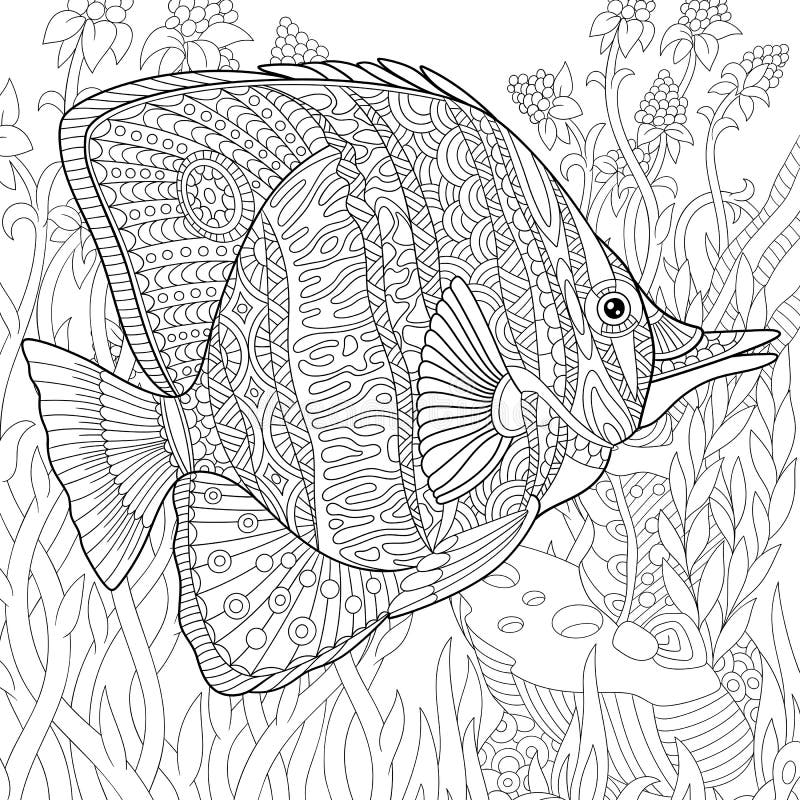 Zentangle stilisierte Schmetterlingsfische vektor abbildung