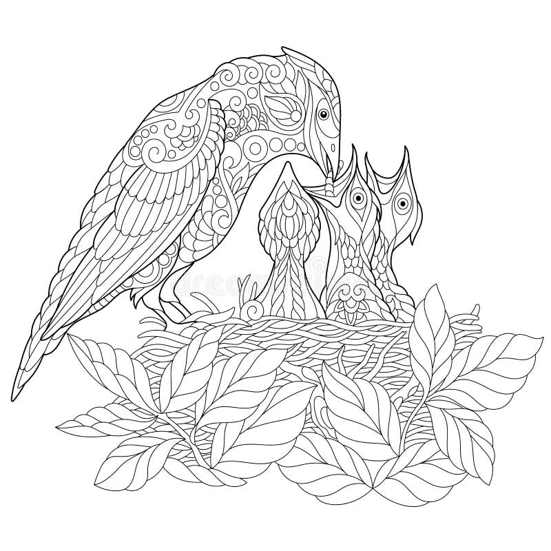 Coloring book page of jay bird feeding its newborn nestlings. Freehand sketch drawing for adult antistress colouring with doodle and zentangle elements. Coloring book page of jay bird feeding its newborn nestlings. Freehand sketch drawing for adult antistress colouring with doodle and zentangle elements.