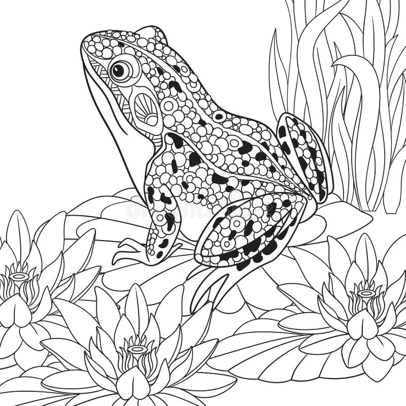 Zentangle stylized frog