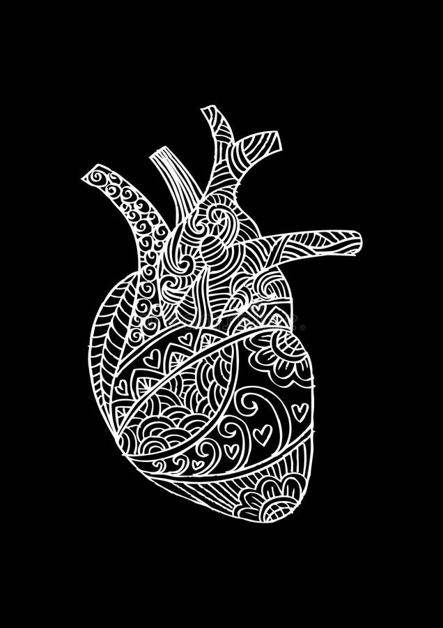 Zentangle Stylized Human Heart Stock Illustration - Illustration of ...