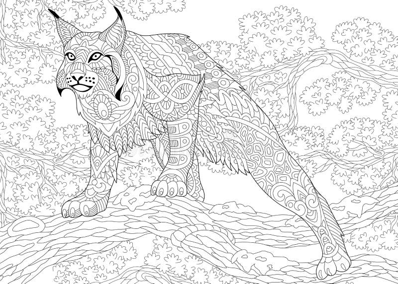 bobcat coloring page