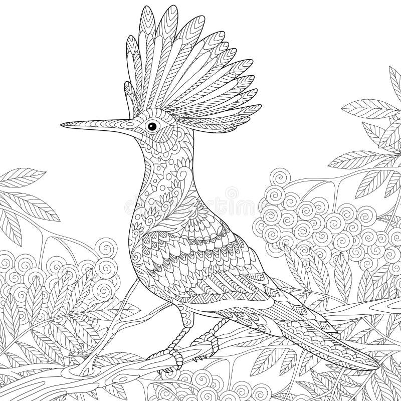 Zentangle stylizował dudka ilustracja wektor Zentangle stylizował dudka ilustracja wektor