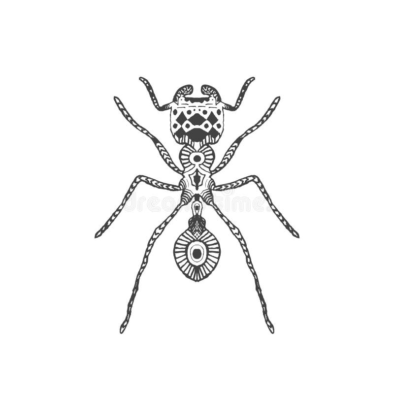 Zentangle stylizował mrówki ilustracja wektor Zentangle stylizował mrówki ilustracja wektor