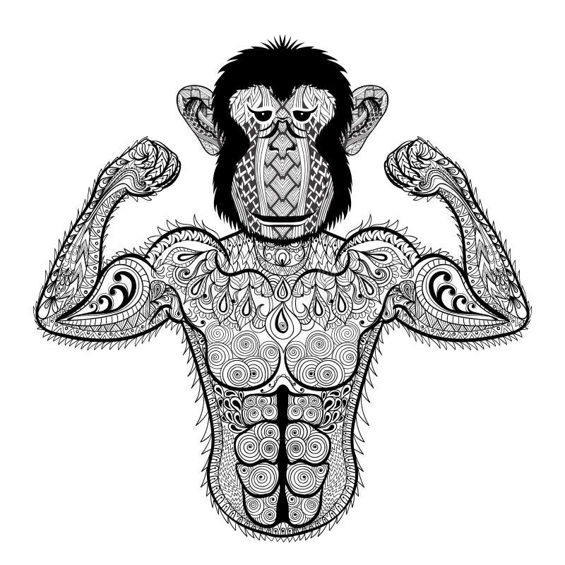Zentangle stylizował silnej małpy jak Bodybuilder Ręka Rysujący sp ilustracji Zentangle stylizował silnej małpy jak Bodybuilder Ręka Rysujący sp ilustracji