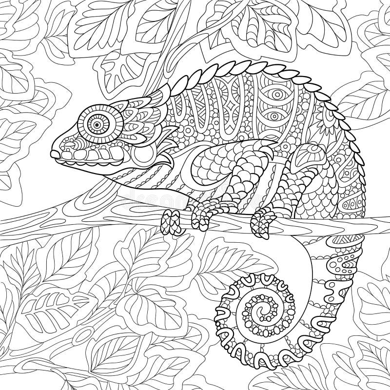 Zentangle stylized cartoon chameleon sitting on a tree branch. Hand drawn sketch for adult antistress coloring page, T-shirt emblem, logo or tattoo with doodle, zentangle, floral design elements. Zentangle stylized cartoon chameleon sitting on a tree branch. Hand drawn sketch for adult antistress coloring page, T-shirt emblem, logo or tattoo with doodle, zentangle, floral design elements.