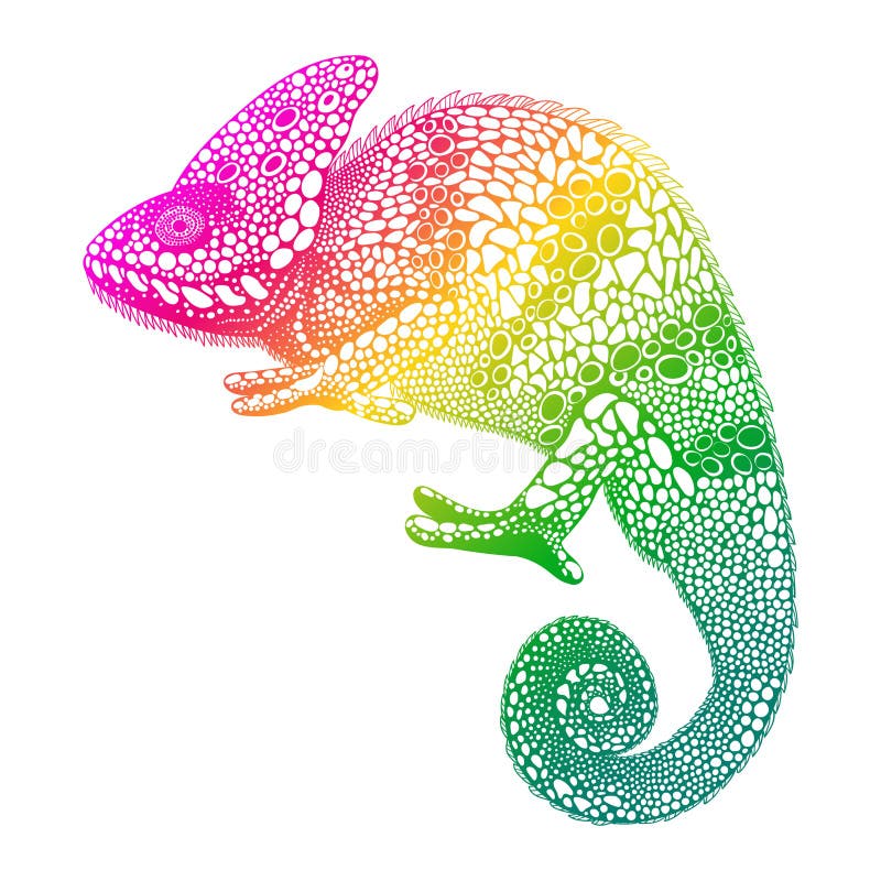 Zentangle stylized multi coloured Chameleon. Hand Drawn Reptile vector illustration in doodle style. Sketch for tattoo or print. Animal collection. Zentangle stylized multi coloured Chameleon. Hand Drawn Reptile vector illustration in doodle style. Sketch for tattoo or print. Animal collection.