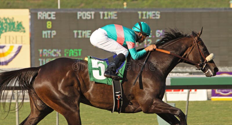 ARCADIA, CA - OCT 10: Zenyatta, under jockey Mike Smith, wins The Lady's Secret Stakes at historic Santa Anita Park, Arcadia, CA, 10.10.09. She remains undefeated in 13 tries. ARCADIA, CA - OCT 10: Zenyatta, under jockey Mike Smith, wins The Lady's Secret Stakes at historic Santa Anita Park, Arcadia, CA, 10.10.09. She remains undefeated in 13 tries.