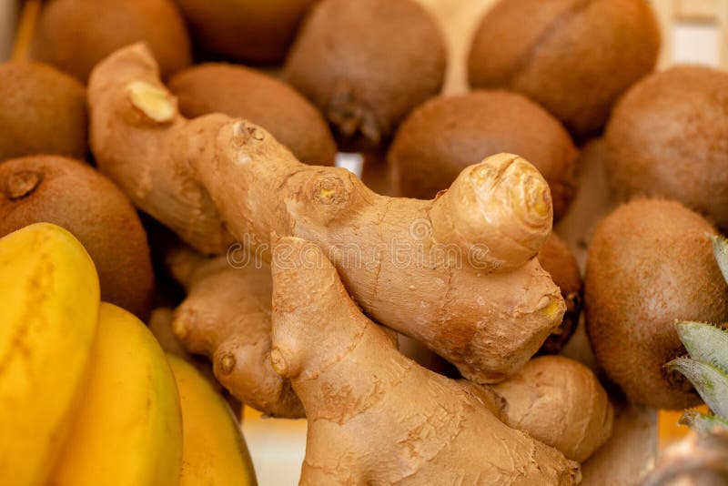 Zenzero, banane e kiwi - fondo fresco degli ingredienti della cucina reale Concetto sano di stile di vita e di cibo, spezie fresc immagini stock Zenzero, banane e kiwi - fondo fresco degli ingredienti della cucina reale Concetto sano di stile di vita e di cibo, spezie fresc immagini stock