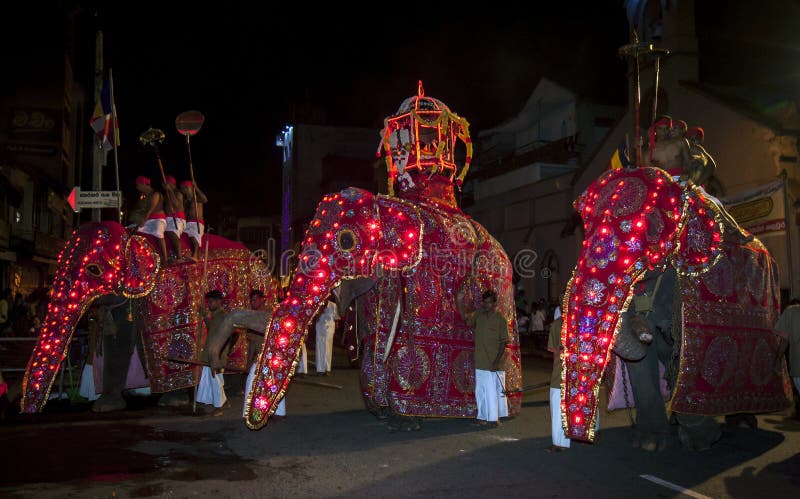 Zeremonielle Elefanten führen durch die Straßen von Kandy während des Esala Perahera in Sri Lanka vor stockfotos Zeremonielle Elefanten führen durch die Straßen von Kandy während des Esala Perahera in Sri Lanka vor stockfotos