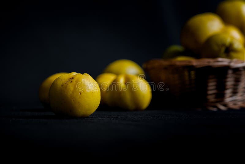 Zerrissene gelbe Früchte von Quitte Chaenomeles auf dunklem Hintergrund stockfotografie Zerrissene gelbe Früchte von Quitte Chaenomeles auf dunklem Hintergrund stockfotografie
