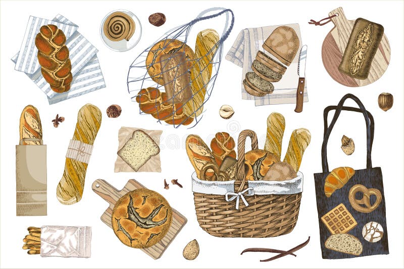 Zestaw chlebów w różnych opakowaniach. ilustracja wektor