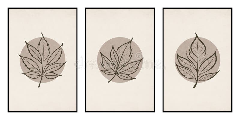 Zestaw 3 drukowalnych ilustracji botanicznych. zdjęcie dekoracji ściany dekoracji w stylu rustycznym w ramce. grunge vintage ilustracja wektor