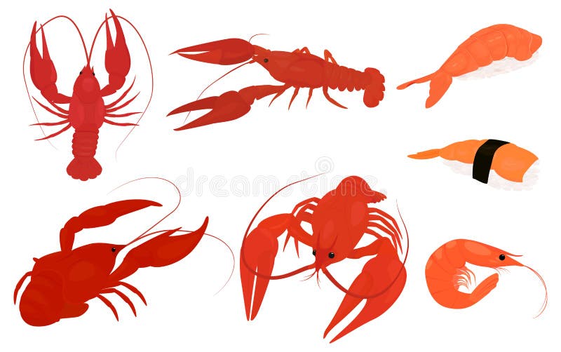 Set of boiled red lobster and shrimp. Crayfish vector silhouette icons. Set of sea creatures icons. Cartoon red logo template. Vector illustration on white background. Set of boiled red lobster and shrimp. Crayfish vector silhouette icons. Set of sea creatures icons. Cartoon red logo template. Vector illustration on white background