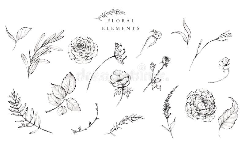 Zestaw graficznych ilustracji kwiatowych czarno-białych pojedynczych, izolowanych elementów kwiatowych