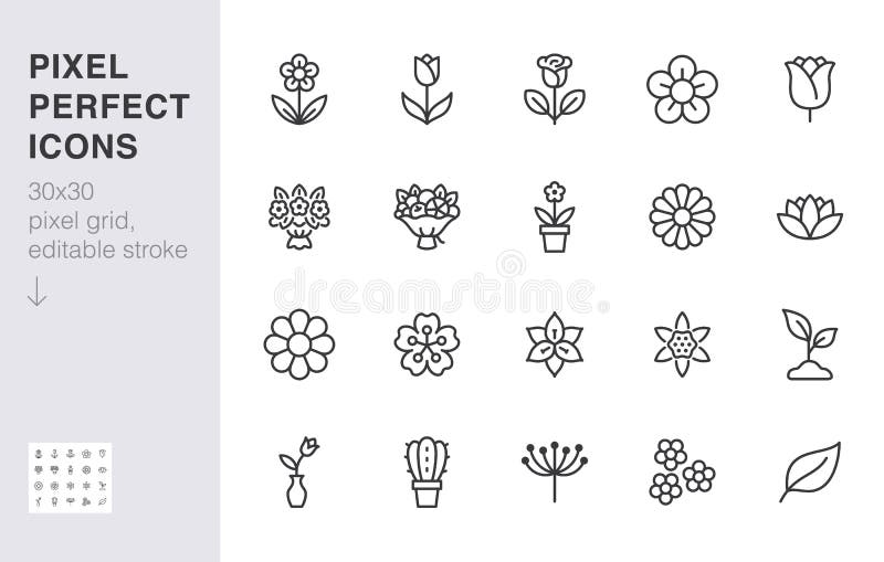 Flower line icon set. Rose, tulip in vase, fruit bouquet, spring blossom, cactus minimal vector illustration Simple outline signs for flowers delivery application. 30x30 Pixel Perfect Editable Strokes. Flower line icon set. Rose, tulip in vase, fruit bouquet, spring blossom, cactus minimal vector illustration Simple outline signs for flowers delivery application. 30x30 Pixel Perfect Editable Strokes