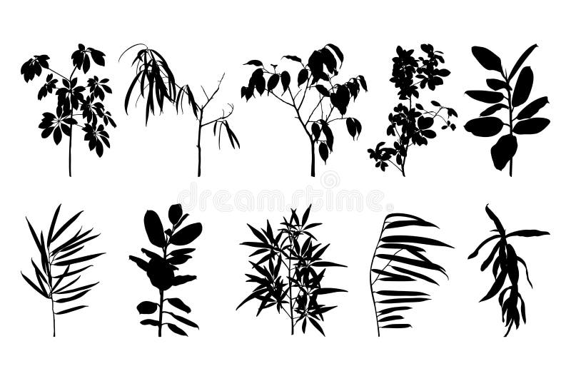 Zestaw sylwetek domu wyizolowanych na białym tle Ilustracja wektorowa ficus i innych roślin ilustracji