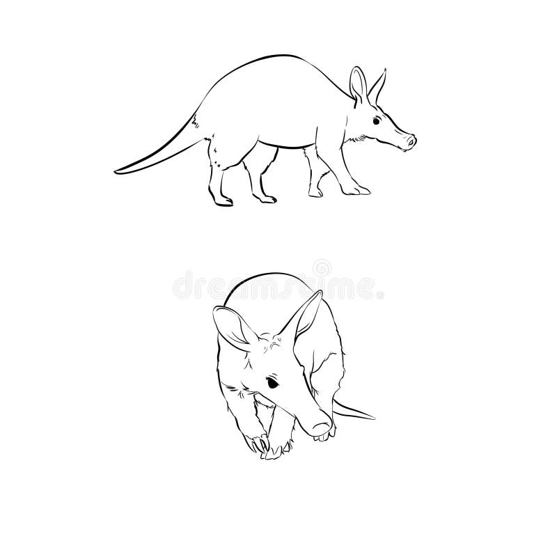 Zestaw znaków design of ostre aardvark doodle style. ilustracja wektora rysowanego ręcznie. ilustracji