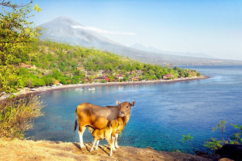 Zet Agung op het Eiland van Bali, Indonesië op royalty-vrije stock foto Zet Agung op het Eiland van Bali, Indonesië op royalty-vrije stock foto