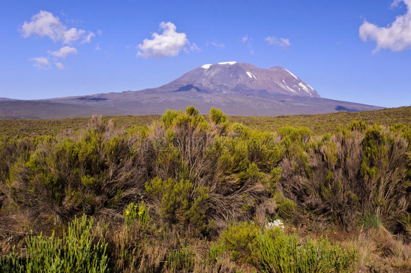 Zet Kilimanjaro op royalty-vrije stock fotografie Zet Kilimanjaro op royalty-vrije stock fotografie