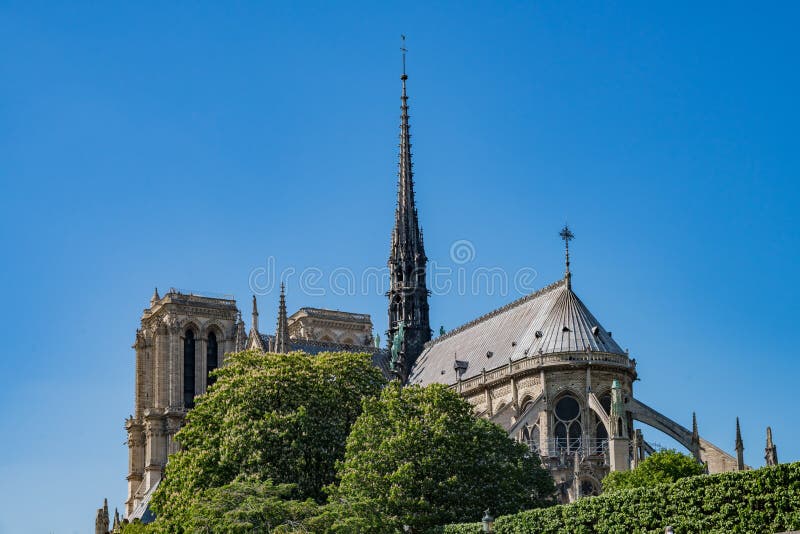Zewnętrzny widok sławna Notre-Dame katedra przez rivier