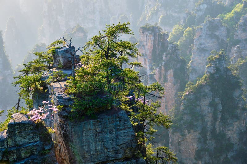 Zhangjiajie-Berge, China. Berühmte Touristenattraktion von China- - Zhangjiajie-Steinsäulen Klippenberge auf Sonnenuntergang bei Wulingyuan, Hunan, China