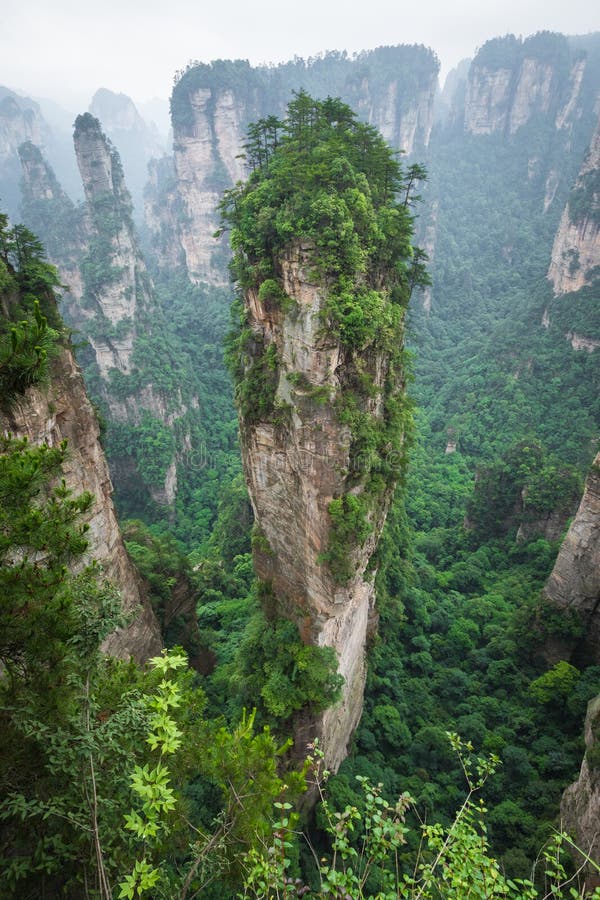 Zhangjiajie lasu park Gigantyczne filar góry wzrasta od t obraz royalty free Zhangjiajie lasu park Gigantyczne filar góry wzrasta od t obraz royalty free