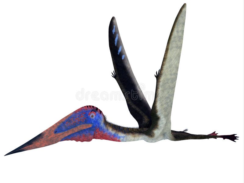 Pterodactyl isolated hi-res stock photography and images - Alamy