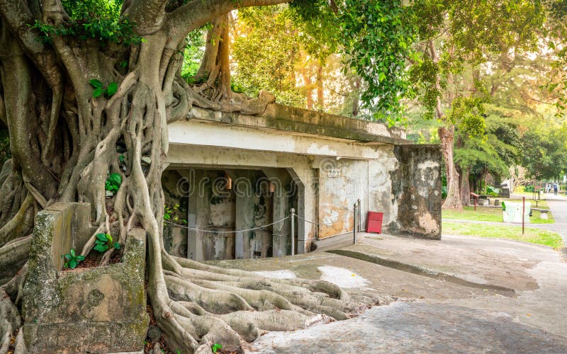 Zhengdong fort view with trees recovering it in Xiuying fort in Haikou Hainan China