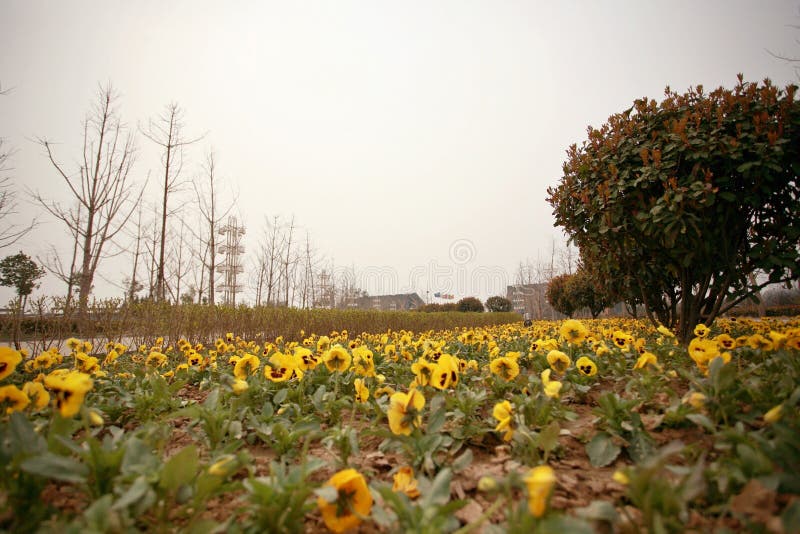 Zhengzhou Botanical Garden