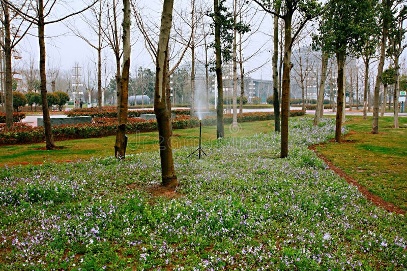 Zhengzhou Botanical Garden