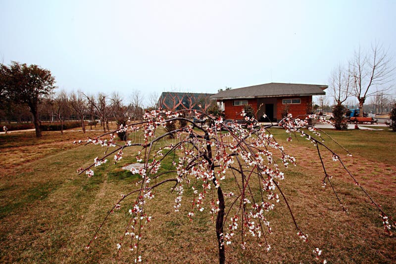 Zhengzhou Botanical Garden