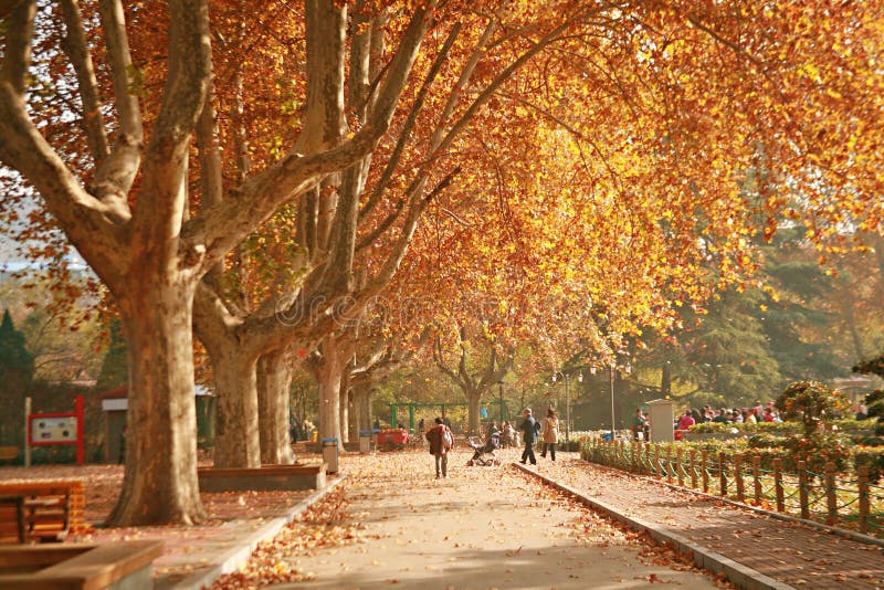 Zhengzhou people& x27; s park zdjęcia stock Zhengzhou people& x27; s park zdjęcia stock