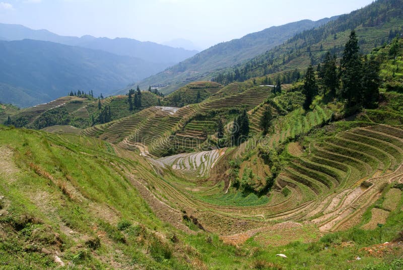 The Zhuang Terraces royalty free stock photo