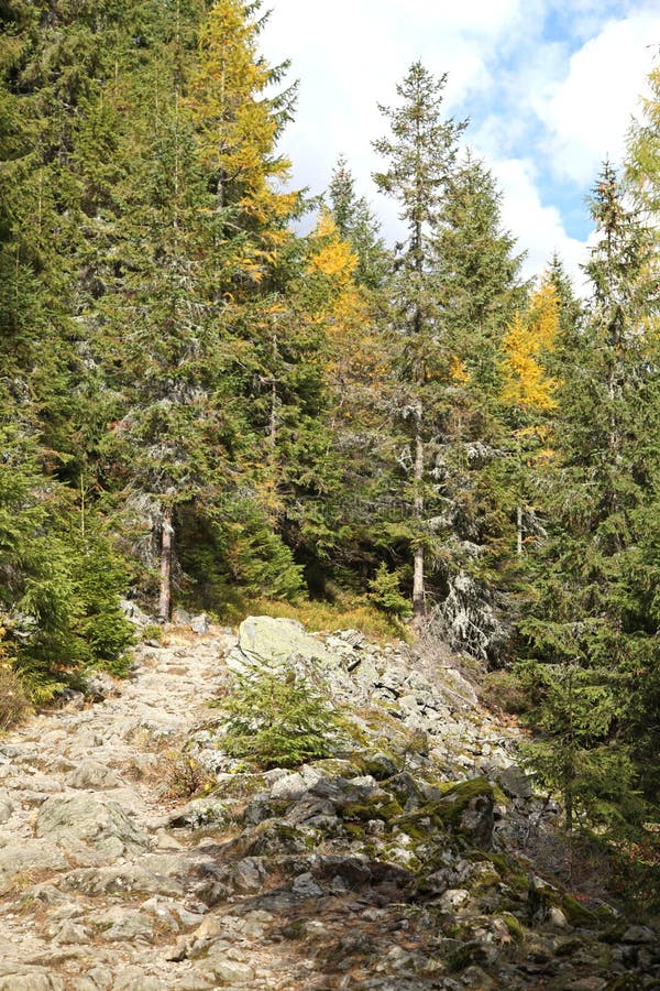 Ziarska dolina - valley in High Tatras, Slovakia