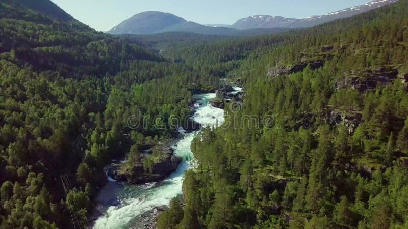 Zicht vanuit de lucht op de bergen en het bos in noorwegen - scandinavië , onmiddellijk voor de camera.