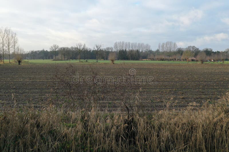 An aerial view of a small meadow in winter that has been harvested and is ready to be sewn again. An aerial view of a small meadow in winter that has been harvested and is ready to be sewn again