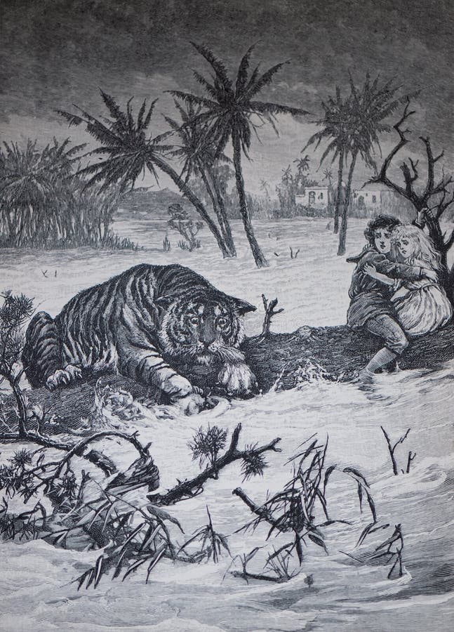 Rob Van Hees Rjcvanhees Illustrations
