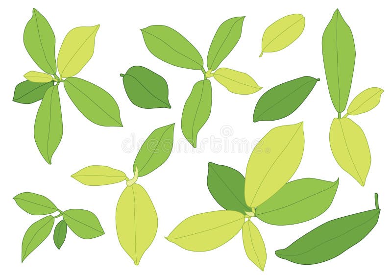 Ziele? li? cie s? bukietem? wie? ym ilustracja wektor
