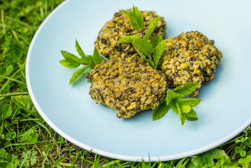 Zieleni soczewica weganinu hamburgery na błękitnym talerzu obrazy stock Zieleni soczewica weganinu hamburgery na błękitnym talerzu obrazy stock