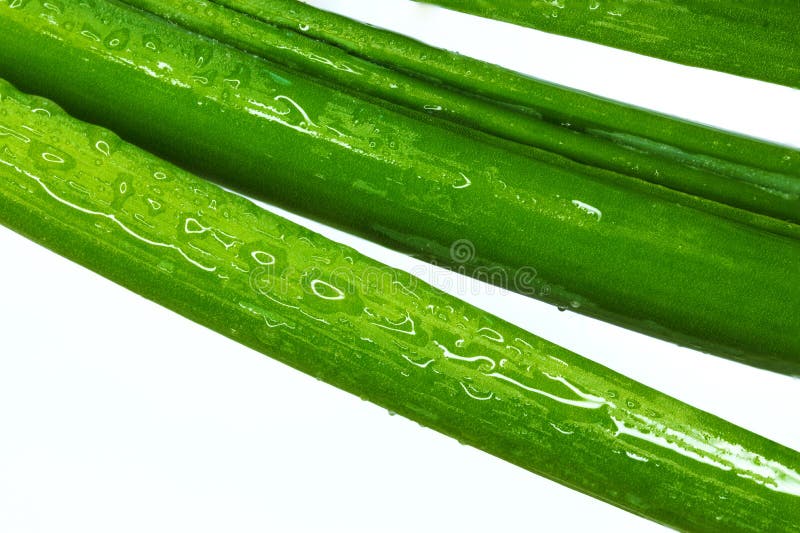 Zielona cebula makro- obrazy stock Zielona cebula makro- obrazy stock