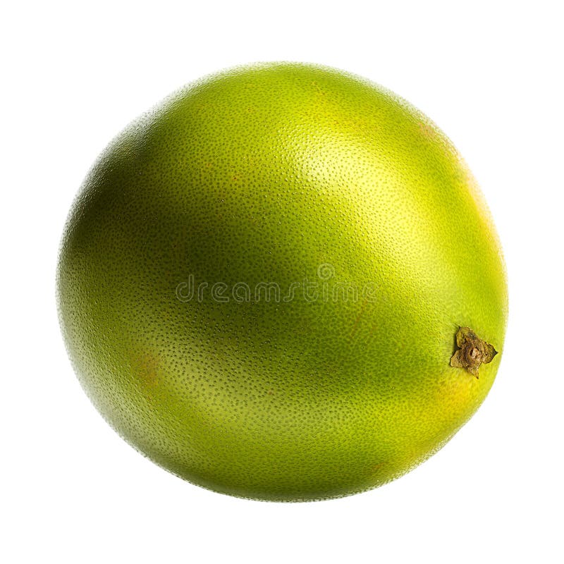 Zielona pomelo cytrusa owoc odizolowywająca na białym tle Z ścinek ścieżką zdjęcie royalty free Zielona pomelo cytrusa owoc odizolowywająca na białym tle Z ścinek ścieżką zdjęcie royalty free