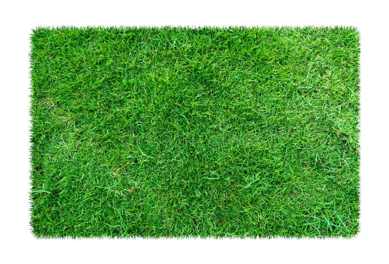 Green grass. Natural texture background. Fresh spring green grass. isolated on white background with clipping path