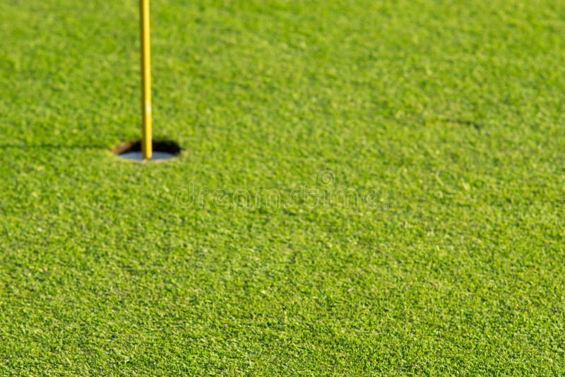 Zielona trawa przy pięknym polem golfowym obraz stock Zielona trawa przy pięknym polem golfowym obraz stock